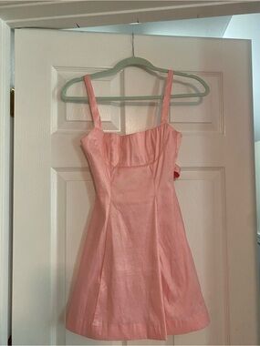 Windsor Pink Mini Dress
